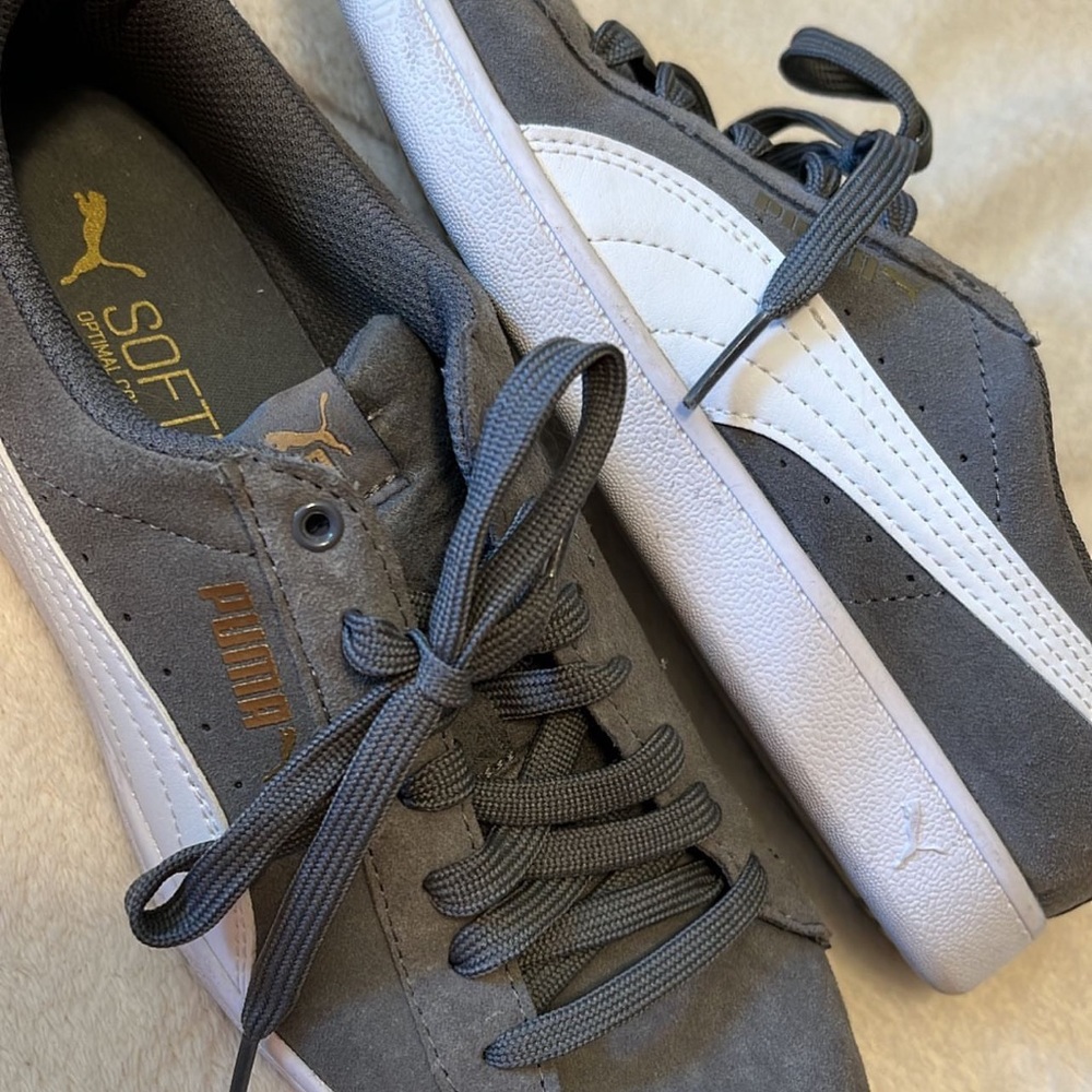 Grey pumas